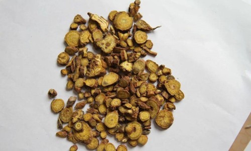 黄金草的功效与作用-黄金瓜的功效与作用-专业黄金瓜的功效与作用孩子可以吃吗平台-黄金功效与作用