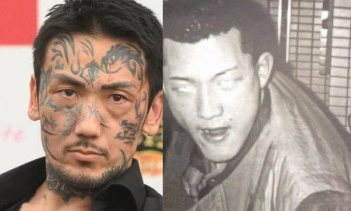 山楂菊花红枣泡水的功效与禁忌
