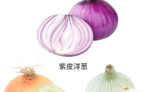 黄金瓜的功效与作用-专业黄金瓜的功效与作用孩子可以吃吗平台-黄金功效与作用