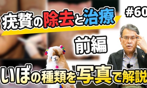 崇明黄金瓜的功效与作用-黄金瓜的功效与作用-专业黄金瓜的功效与作用孩子可以吃吗平台-黄金功效与作用